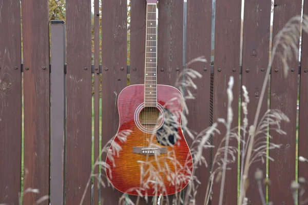 Gitar çit