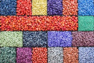 tohum ayçiçeği tohumu, Mısır, turp. sıralama ve etiketleme için boyalı agro renk.
