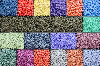 tohum ayçiçeği tohumu, Mısır, turp. sıralama ve etiketleme için boyalı agro renk.