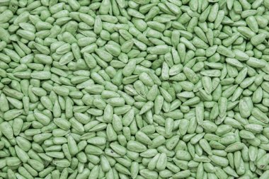 tohum Ayçiçeği tohumları. sıralama ve etiketleme için boyalı agro renk.