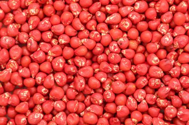 ayçiçeği tohumu Mısır. sıralama ve etiketleme için boyalı agro renk