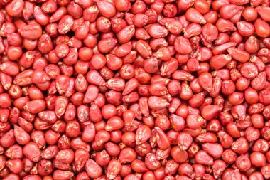 ayçiçeği tohumu Mısır. sıralama ve etiketleme için boyalı agro renk.