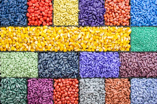 tohum ayçiçeği tohumu, Mısır, turp. sıralama ve etiketleme için boyalı agro renk.
