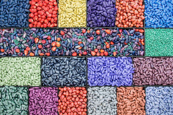 seed sunflower seeds, corn, radishes. painted agro color for sorting and labeling.