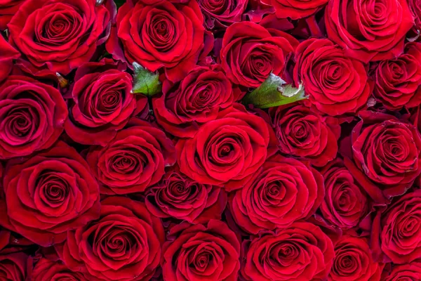 Fondo Rosas Rojas Naturales Vista Superior — Foto de Stock
