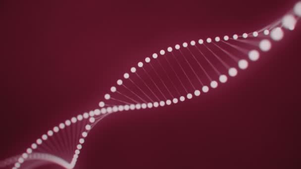 由红色背景上的白色发光分子形成的旋转 Dna — 图库视频影像
