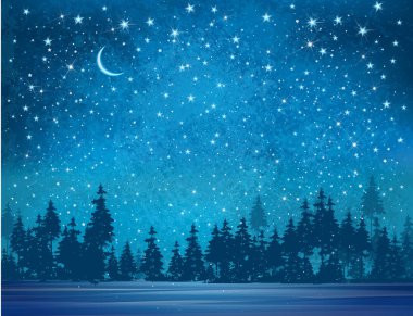 yıldızlı gece gökyüzü ve snowy orman