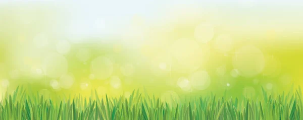 Green grass against the blue sky, bokeh