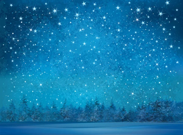Έναστρη Νύχτα Ουρανό Και Χιονισμένο Δάσος Φόντο — Διανυσματικό Αρχείο
