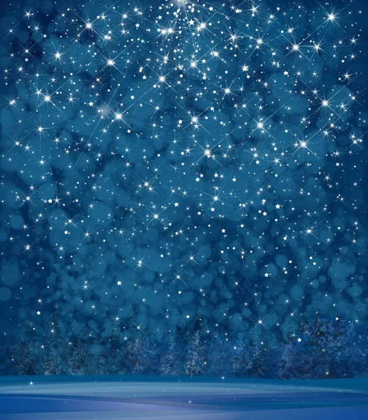 Winter Wonderland Background Starry Night Sky Forest Background — Stock Vector