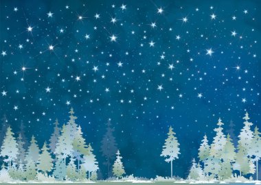 Kış gece yıldızlı gökyüzü ve Çam ormanıyla