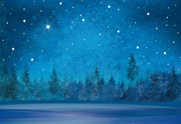 Vector Winter Wonderland Background Starry Night Sky Forest Background — Stock Vector