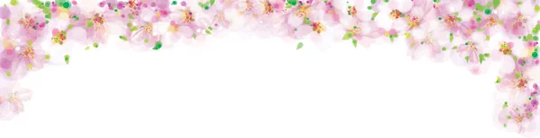 矢量粉红色 花的边界 开花樱花树 Bokeh 孤立在白色 — 图库矢量图片