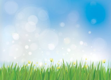 Bahar arka plan beyaz dandelions, vektör çizim ile