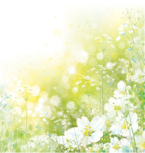 矢量春天花卉背景 — 图库矢量图片