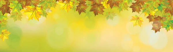 Vector autumnal  maples leaves border  on bokeh background. — Stock Vector