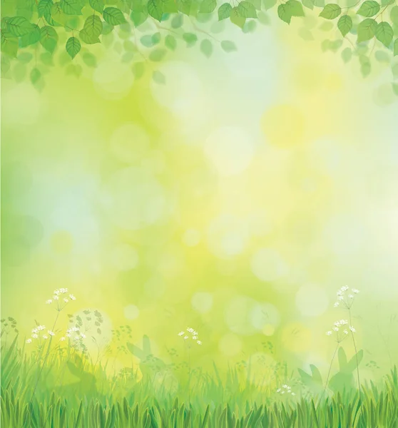 Vector  green nature background. Green leaves borders and  grass — Stock Vector