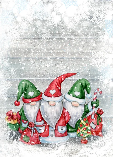 Christmas Gnomes Cartoon Greeting Card Winter Holidays Merry Christmas Greeting — Stock Photo, Image