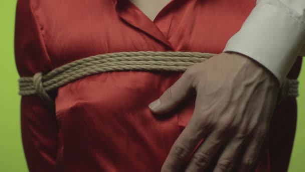 Master Shibari Gebonden Lichaam Van Het Meisje — Stockvideo