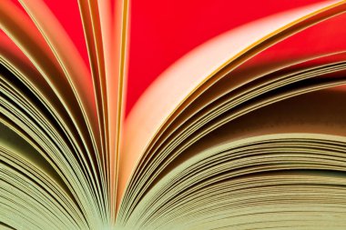 aşağıda görülen açık bir kitap sayfaları