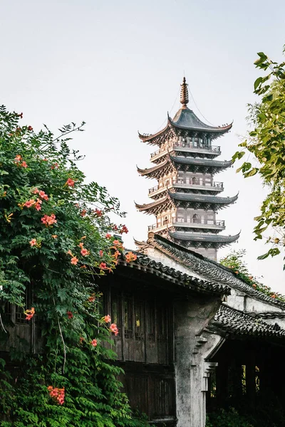 Geleneksel Çince Pagoda ve evleri Wuzhen, Çin
