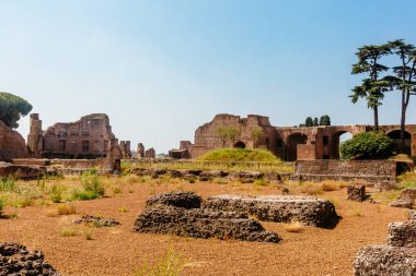 Roma, İtalya Roma Forumu antik Roma harabeleri