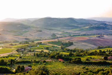 Görünüm Tuscan alan Sunset yakınında Montepulciano, İtalya