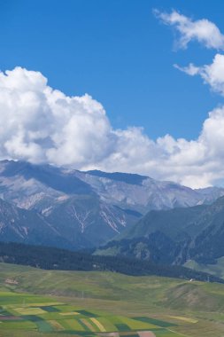 Dağlar ve Qilian, Qinghai, Çin yakınındaki çayır görünümü