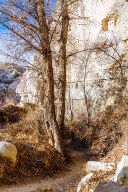 Patika Vadisi Göreme, Kapadokya Merkezi Türkiye'de yakın sarma