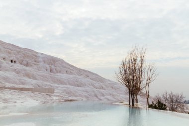 Beyaz Traverten kireçtaşı dağ ve havuz Pamukkale, Türkiye'nin bir ağaç görünümü