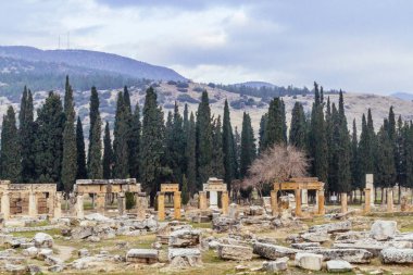 Hierapolis ve ağaçları Pamukkale, Türkiye'de dağ ile yıkıntıları görünümünü