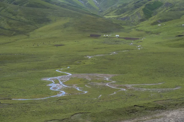 Namioty Koczowniczych Przez Rzekę Łąkach Pobliżu Qilian Qinghai Chiny — Zdjęcie stockowe