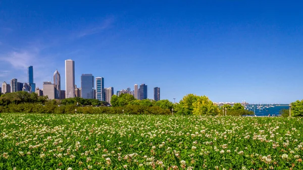 Skyline Chicago Területén Virágok Felett — Stock Fotó