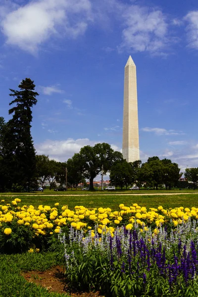 Washington Monument Avec Des Fleurs Jaunes Premier Plan Washinton Usa — Photo