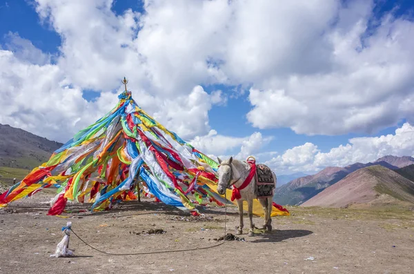 Banderas Oración Tibetanas Caballo Cerca Qilian Qinghai China — Foto de Stock