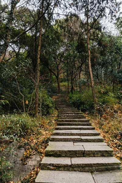 Caminho Pedra Que Leva Bosques Uma Colina Hangzhou China — Fotografia de Stock