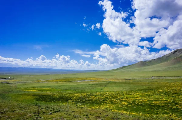 Äng Och Berg Nära Qilian Qinghai Kina — Stockfoto