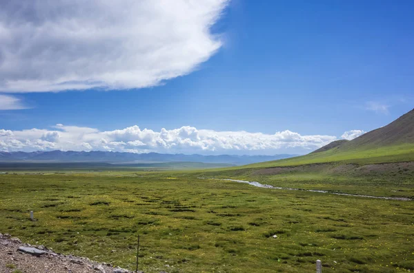 Łąki Góry Pobliżu Qilian Qinghai Chiny — Zdjęcie stockowe