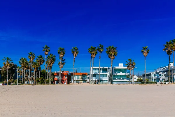 Houses Palm Trees Venice Beach Los Angeles Usa — Stock Photo, Image