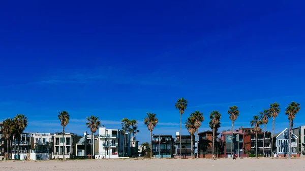 Houses Palm Trees Venice Beach Los Angeles Usa — Stock Photo, Image