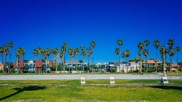 Casas Palmeras Cerca Venice Beach Los Ángeles Estados Unidos — Foto de Stock