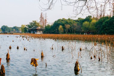 Geleneksel Çin ev tarafından suya yakın Batı Gölü Hangzhou, Çin