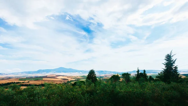 Champs Collines Bord Mer Toscane Italie — Photo