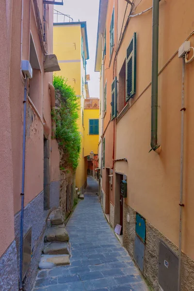 Street Och Färgglada Hus Byn Riomaggiore Cinque Terre Italien — Stockfoto
