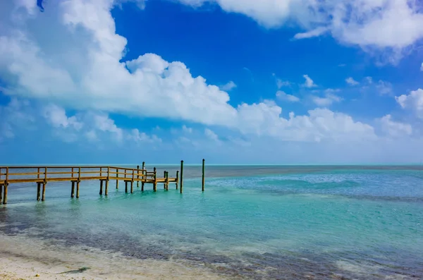 Вид Одуванчика Впадающего Синее Море Флориде Сша — стоковое фото
