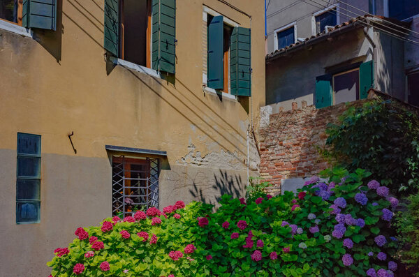 Venetian houses and flowers in a park in Venice, Italy