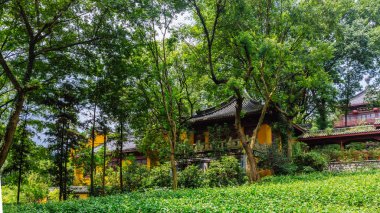 Yongfu Tapınağı, Hangzhou, Çin için ağaçları arasında geleneksel Çin mimarisi