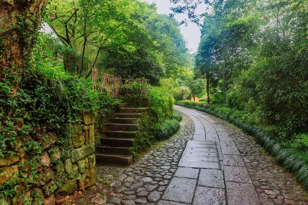 Caminho Pedra Com Escada Entre Árvores Hangzhou China — Fotografia de Stock