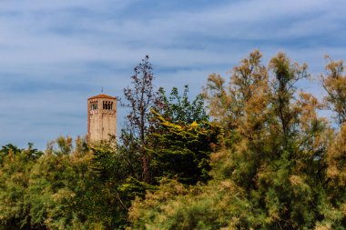 Görünüm, çan kulesi ve Torcello Katedrali ağaçlar üzerinde Torcello Adası, Venedik, İtalya