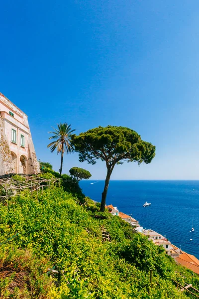 View of trees and houses of the town of Amalfi, Italy, by the sea